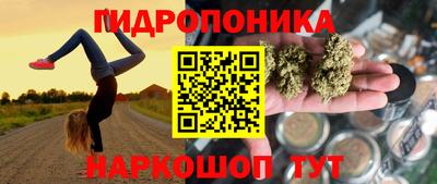 СК Моздок