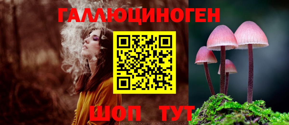 Галлюциногенные грибы GOLDEN TEACHER  Псилоцибиновые грибы мицелий  Вход с VPN  Феодосия 